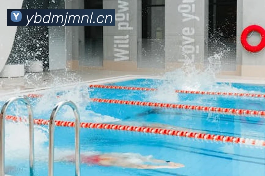 App Interface Preview