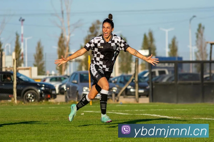 星空体育首页官网APP 封面图